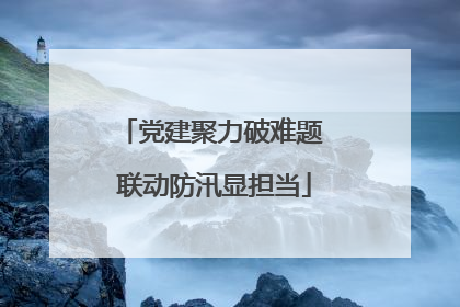 党建聚力破难题 联动防汛显担当