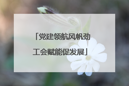 党建领航风帆劲 工会赋能促发展