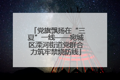党旗飘扬在“三夏”一线——宛城区溧河街道党群合力筑牢禁烧防线