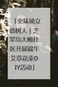 全环境立德树人｜芝罘岛大疃社区开展端午艾草花束DIY活动