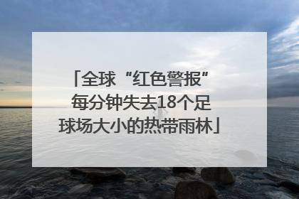 全球“红色警报”  每分钟失去18个足球场大小的热带雨林