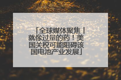 全球媒体聚焦丨就像过量的药！美国关税可能阻碍该国电池产业发展