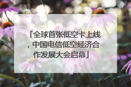 全球首张低空卡上线，中国电信低空经济合作发展大会启幕