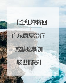 全红婵将回广东康复治疗 或缺席新加坡世锦赛