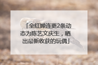 全红婵连更2条动态为陈艺文庆生，晒出最新收获的玩偶