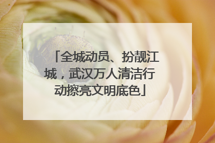 全城动员、扮靓江城，武汉万人清洁行动擦亮文明底色