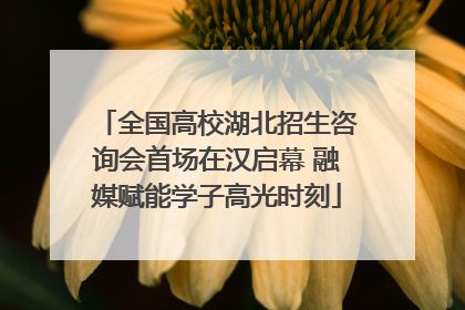 全国高校湖北招生咨询会首场在汉启幕 融媒赋能学子高光时刻