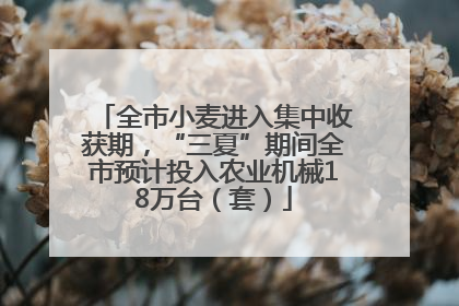 全市小麦进入集中收获期，“三夏”期间全市预计投入农业机械18万台（套）