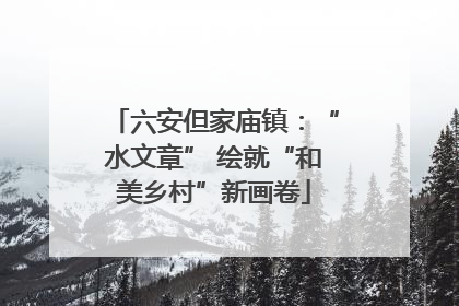 六安但家庙镇：“水文章” 绘就“和美乡村”新画卷
