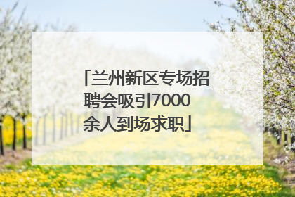 兰州新区专场招聘会吸引7000余人到场求职