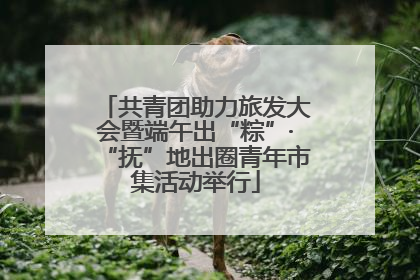 共青团助力旅发大会暨端午出“粽”·“抚”地出圈青年市集活动举行