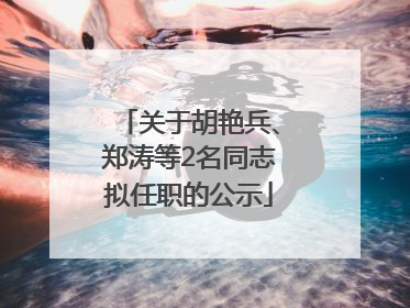 关于胡艳兵、郑涛等2名同志拟任职的公示