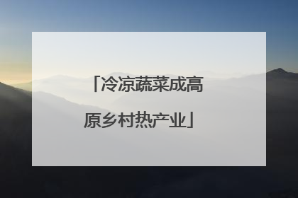 冷凉蔬菜成高原乡村热产业