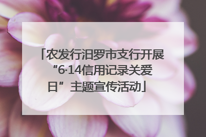 农发行汨罗市支行开展“6·14信用记录关爱日”主题宣传活动