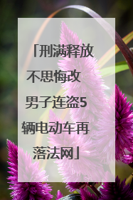 刑满释放不思悔改 男子连盗5辆电动车再落法网