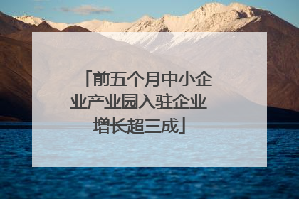 前五个月中小企业产业园入驻企业增长超三成