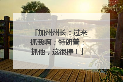 加州州长：过来抓我啊；特朗普：抓他，这很棒！