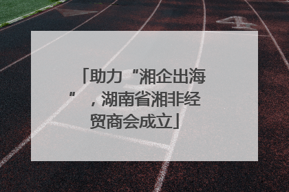 助力“湘企出海”，湖南省湘非经贸商会成立