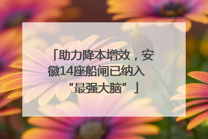 助力降本增效，安徽14座船闸已纳入“最强大脑”