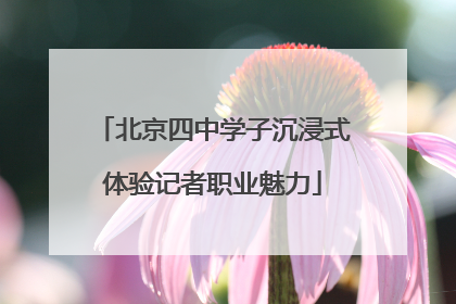 北京四中学子沉浸式体验记者职业魅力