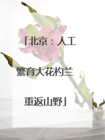 北京：人工繁育大花杓兰重返山野
