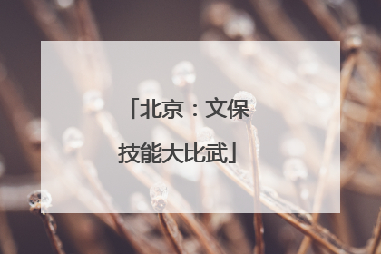北京：文保技能大比武