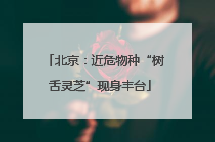 北京：近危物种“树舌灵芝”现身丰台