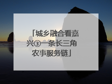 城乡融合看嘉兴③一条长三角农事服务链