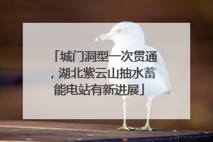 城门洞型一次贯通，湖北紫云山抽水蓄能电站有新进展