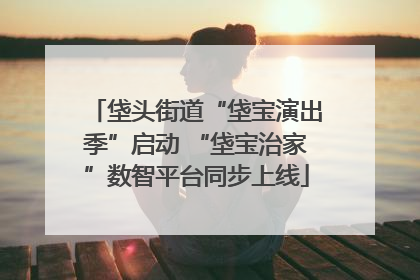 垡头街道“垡宝演出季”启动 “垡宝治家”数智平台同步上线