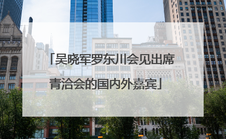 吴晓军罗东川会见出席青洽会的国内外嘉宾