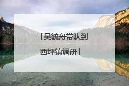 吴毓舟带队到西坪镇调研