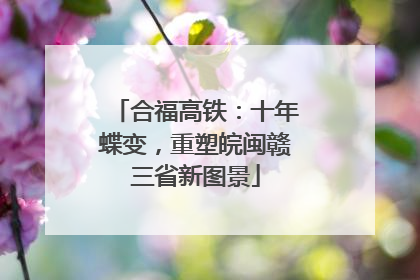 合福高铁：十年蝶变，重塑皖闽赣三省新图景