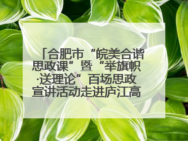 合肥市“皖美合谐思政课”暨“举旗帜·送理论”百场思政宣讲活动走进庐江高新实验学校