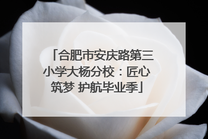 合肥市安庆路第三小学大杨分校：匠心筑梦 护航毕业季