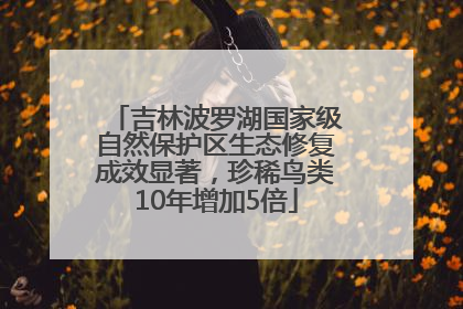 吉林波罗湖国家级自然保护区生态修复成效显著，珍稀鸟类10年增加5倍