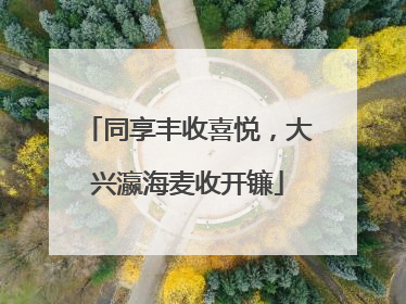 同享丰收喜悦，大兴瀛海麦收开镰