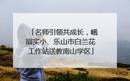 名师引领共成长，峨眉实小、乐山市白兰花工作站送教南山学区