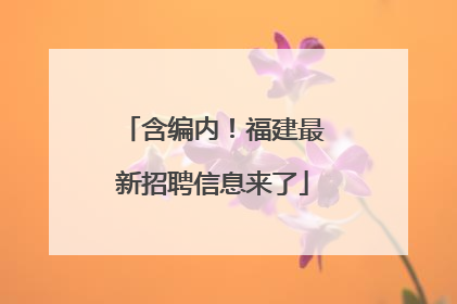含编内！福建最新招聘信息来了