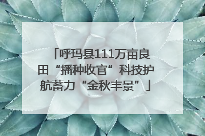 呼玛县111万亩良田“播种收官”科技护航蓄力“金秋丰景”