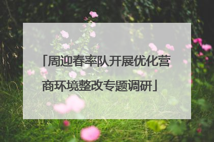 周迎春率队开展优化营商环境整改专题调研