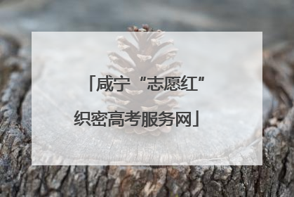 咸宁“志愿红”织密高考服务网