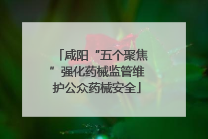 咸阳“五个聚焦”强化药械监管维护公众药械安全
