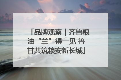 品牌观察｜齐鲁粮油“兰”得一见 鲁甘共筑粮安新长城