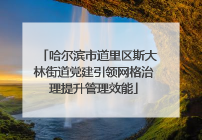 哈尔滨市道里区斯大林街道党建引领网格治理提升管理效能