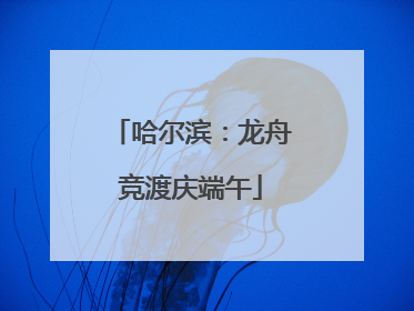哈尔滨：龙舟竞渡庆端午