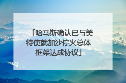 哈马斯确认已与美特使就加沙停火总体框架达成协议