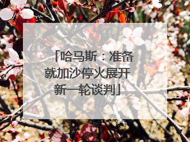 哈马斯：准备就加沙停火展开新一轮谈判