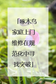 啄木鸟家庭上门维修在规范化中寻找突破