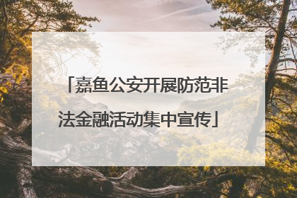嘉鱼公安开展防范非法金融活动集中宣传